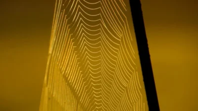 Spider Symbolism